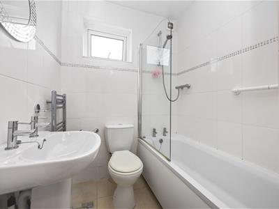 Picture 16